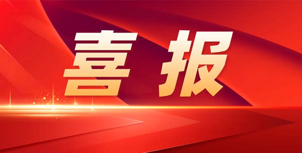 喜報(bào)！熱烈祝賀我司榮獲江蘇省“專精特新”企業(yè)稱號(hào)